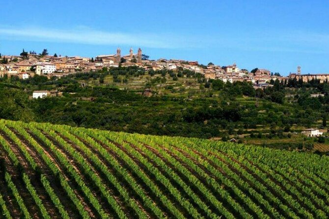 Private tour Wine and cheese a perfect combinations val 'Orcia - Leaving Arezzo at 8:00 a.m.