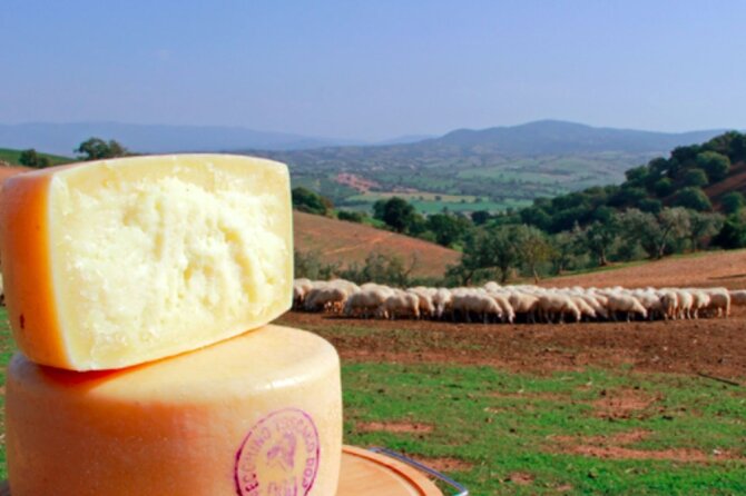 Private tour Wine and cheese a perfect combinations val 'Orcia - Montepulciano: Wine, Bruschetta, and an Underground Cellar