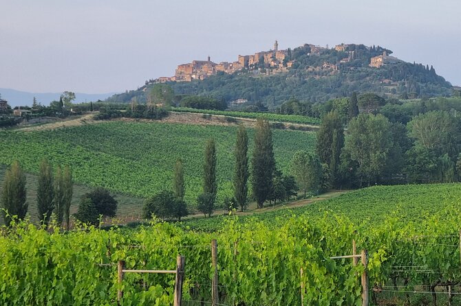 Private tour Wine and cheese a perfect combinations val 'Orcia - Who Will Enjoy This Day Most?