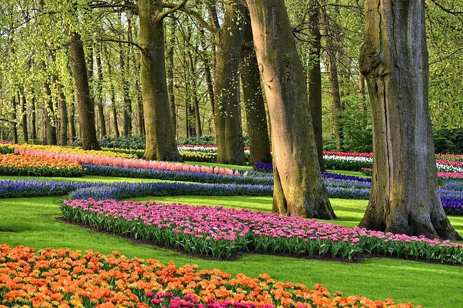 Private Tulip Fields, Windmills and Cheese Tour from Amsterdam - Zaanse Schans: windmills with working parts