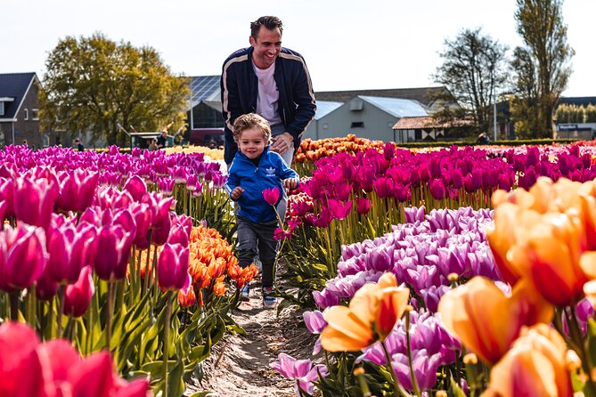 Private Tulip Fields, Windmills and Cheese Tour from Amsterdam - The private vehicle and driver-host service