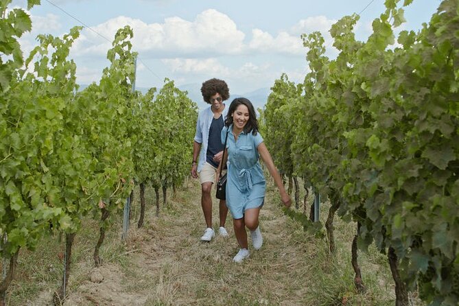 Private Wine Tour in Niagara-on-the-Lake w/ cheese & charcuterie - Why a private Niagara wine tour makes sense