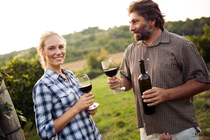 Private Wine Tour in Niagara-on-the-Lake w/ cheese & charcuterie - Guides are the key part of the experience