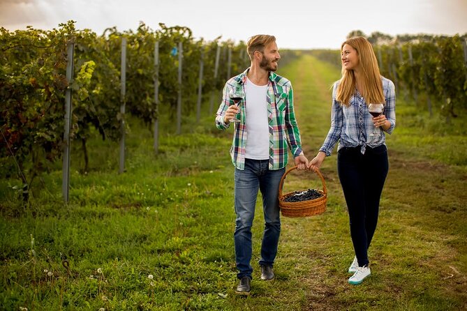 Private Wine Tour in Niagara-on-the-Lake w/ cheese & charcuterie - Inniskillin, Between the Lines, and the classic tasting stops