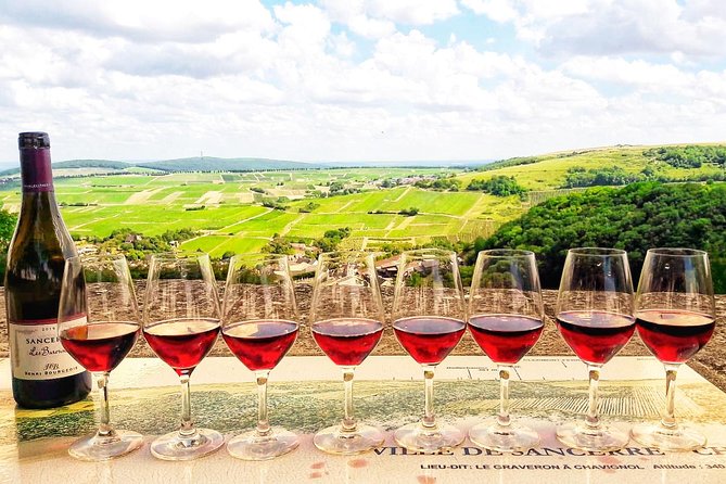 Private wine tour to Sancerre vineyards from Paris with Sommelier - Five details worth knowing before you book