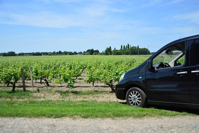 Private wine tour to Sancerre vineyards from Paris with Sommelier - The second winery and a broader taste of Sancerre