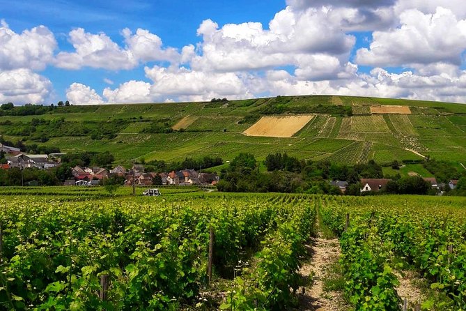 Private wine tour to Sancerre vineyards from Paris with Sommelier - Why the private format matters