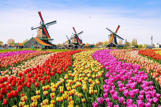 Private Zaanse Schans & Volendam Tour: Windmills, Cheese & Clogs - Timing, pace, and who will enjoy it most