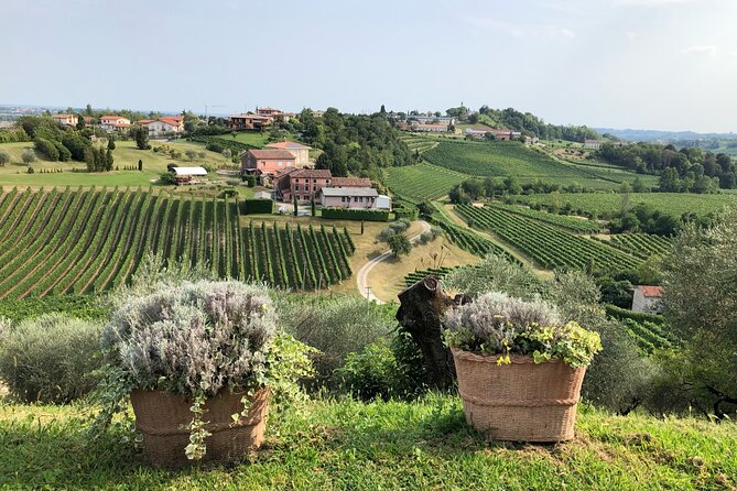 Prosecco Hills Wine and Cheese Gourmet Discovery - Four Proseccos at the Local Winery