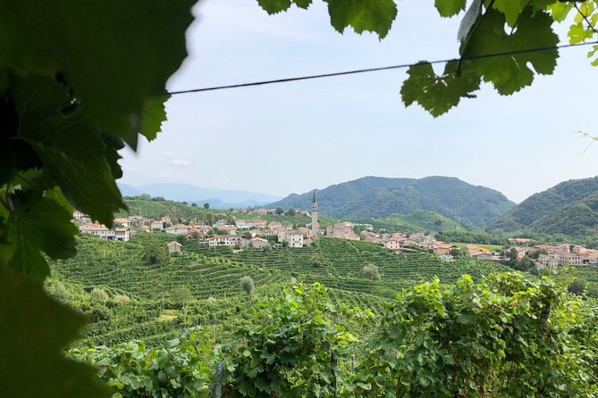 Prosecco Hills Wine and Cheese Gourmet Discovery - Who Will Enjoy This Most
