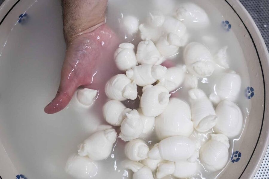 Puglia: Masseria Seppunisi Tour, Cheese, Burrata Tasting - Language, access, and group size