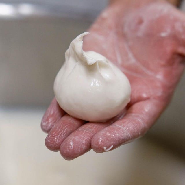 Puglia: Masseria Seppunisi Tour, Cheese, Burrata Tasting - Meeting the cows and calves