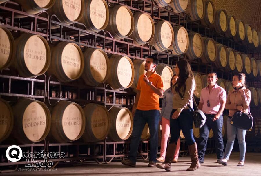 Querétaro: Art, Cheese and Wine Route - Why This Route Works for a Day Outside Querétaro