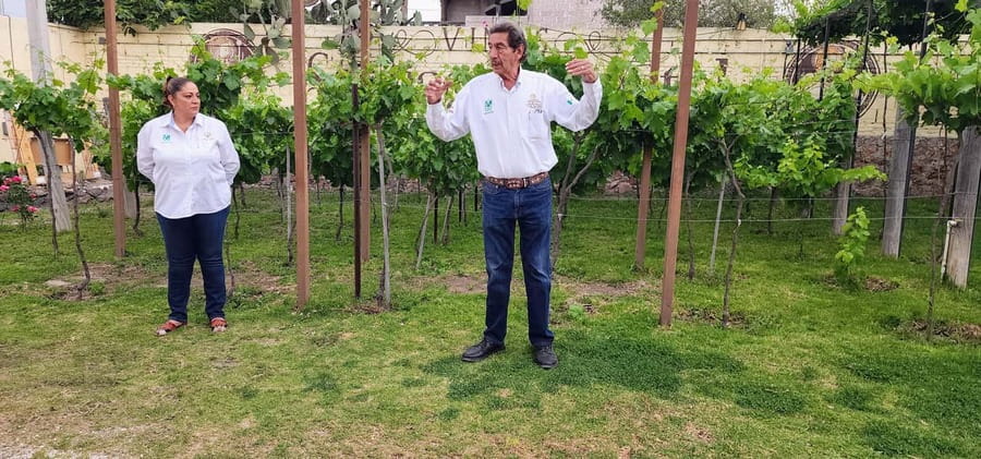Querétaro: Bernal & Tequisquiapan Trip with Wine & Cheese - Is $169 a fair price?