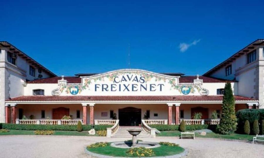 Querétaro: Cheese and Wine Tasting Tour - Key points to know before booking