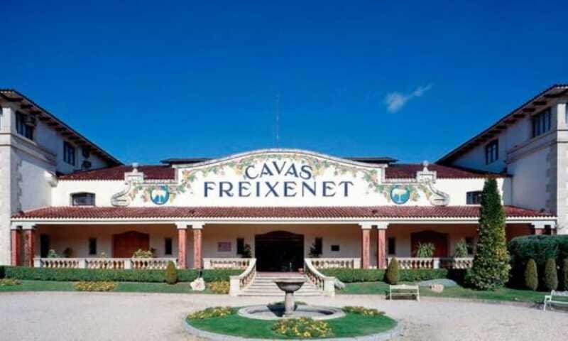 Querétaro: Cheese and Wine Tasting Tour - Booking details worth keeping in mind