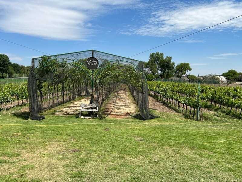 Querétaro: Cheese & Wine Tour In A Day - The guides shape the experience