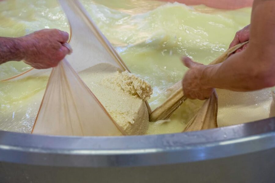 Reggio Emilia: Parmigiano Reggiano & Balsamic Vinegar Tour - Key details at a glance