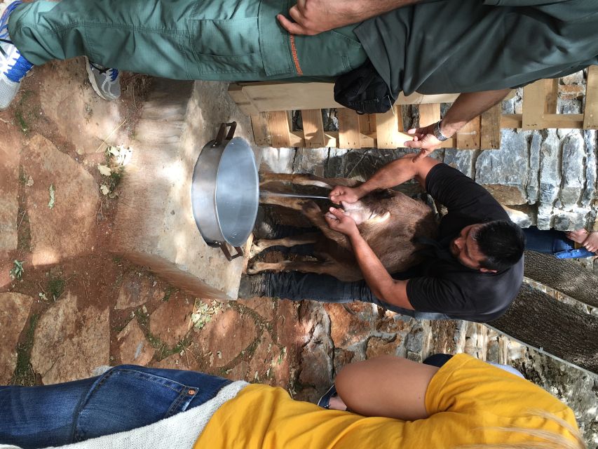Rethymno 4x4 Safari: Tastes & Farm Experience - Melidoni olive oil, from stone press to bottle