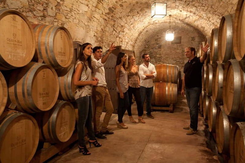 Rías Baixas Albariño Experience: Winery Visit & Cheese - Key points at a glance