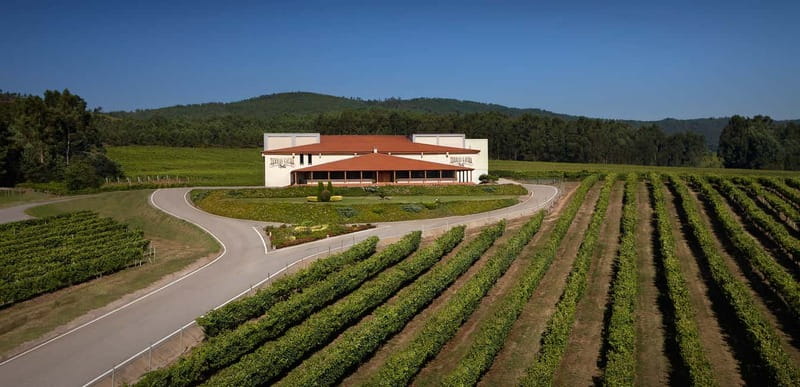Rías Baixas Albariño Experience: Winery Visit & Cheese - Why the O Rosal Valley matters