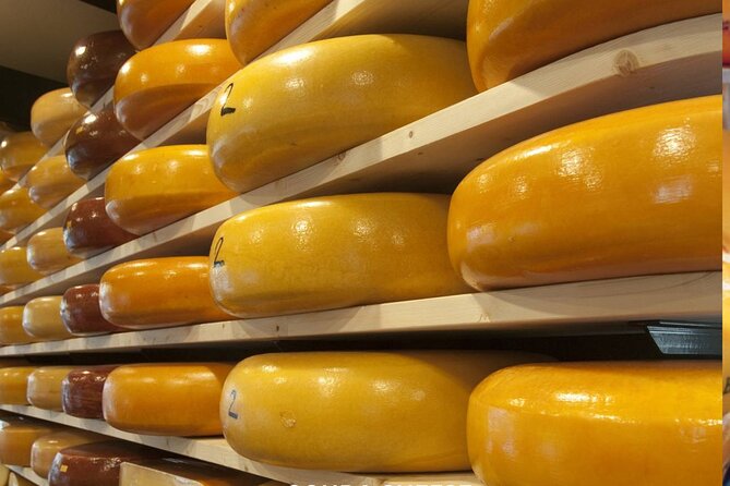 Rotterdam & Gouda Private Daily Walking Tour - Five useful things to know before booking