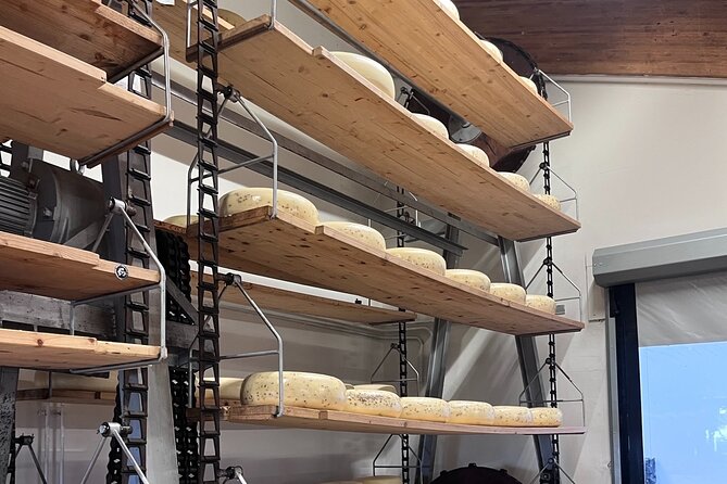 Rotterdam- Kinderdijk -Cheese Farm Experience min 4 max 100 PP - Timing problems you should take seriously
