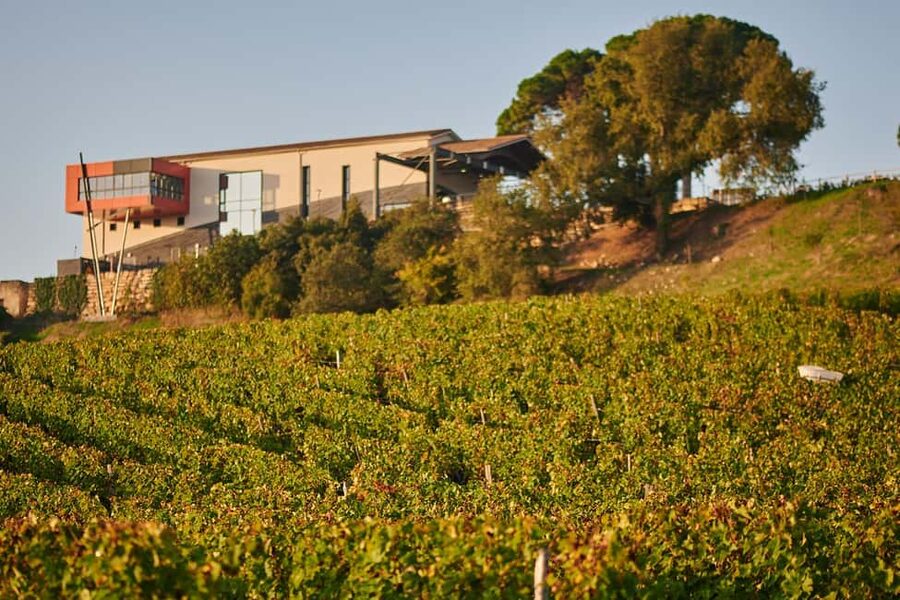 Saint-Emilion: Grand Cru Classé Cheese & Charcuterie Visit - Key points at a glance