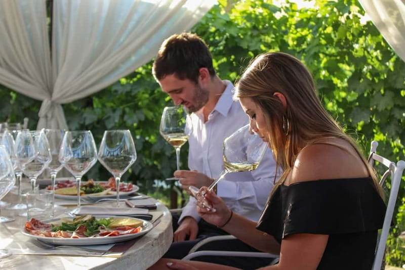 San Gimignano: Tasting of Tuscan Wines and Cheeses - A one-hour tasting at Tenuta Torciano