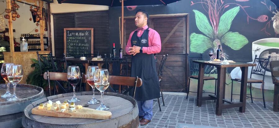Santiago de Querétaro: Pueblos Mágicos Cheese and Wine Route - Language, comfort, and practical limits