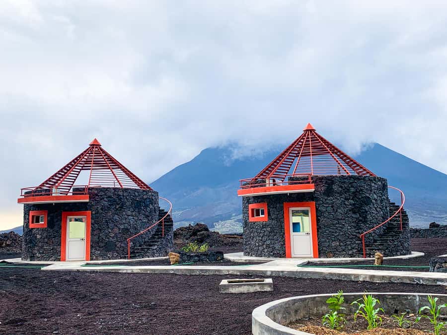 São Filipe: Fogo Volcano with Wine and Cheese Tasting - Key points to know before you book