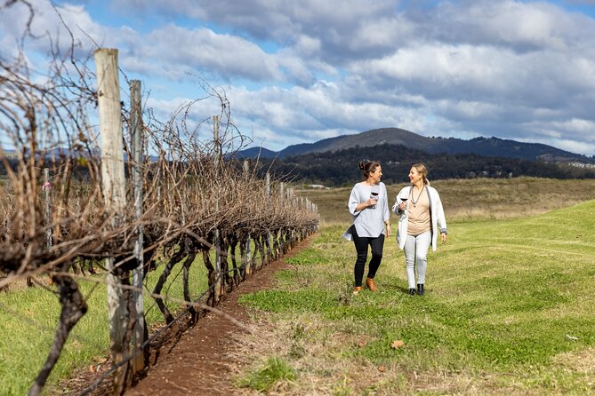 Scenic Hunter Valley Tour with Wine and Cheese Tastings - Three cellar doors, with some variation in scenery
