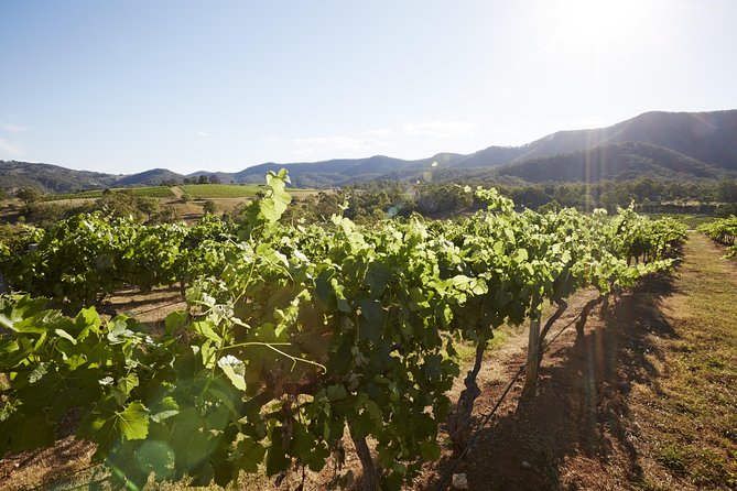Scenic Hunter Valley Tour with Wine and Cheese Tastings - What the $168.55 price really covers