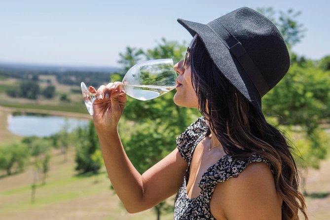 Scenic Hunter Valley Tour with Wine and Cheese Tastings - Who will enjoy this day most