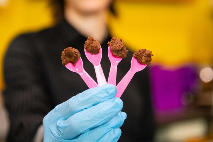Seattle: Wine, Cheese and Chocolate Pairing Tour - Key points to know before you book