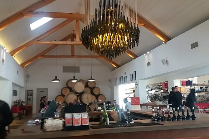 Shared Tour To The Wineries Stellenbosch Paarl + Cheese Tasting from Cape Town - Stellenbosch: canals, student life, and Cape Dutch charm