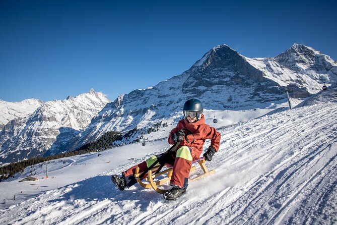 Sledding Cheese Fondue, Chocolate - My booking advice