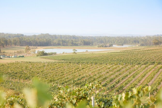 Small Group Hunter Valley Wine Tour w Lunch, Gin, Cheese & Choc - Who Will Enjoy This Day Most?