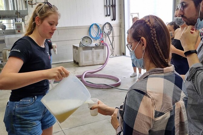 Small Group Hunter Valley Wine Tour w Lunch, Gin, Cheese & Choc - The Ride Into Hunter Valley