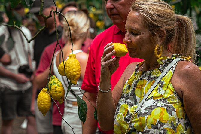 Sorrento Ape Tour, Lemon Garden, Mozzarella Show & Pizza Class - Ride an Ape Calessino to Il Turuziello