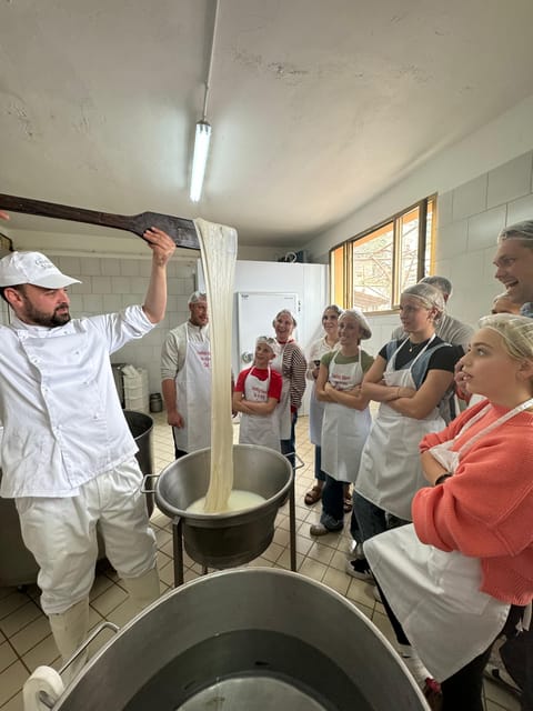 Sorrento Coast Mozzarella Tasting & Cheese Making Experience - Making fiordilatte by hand