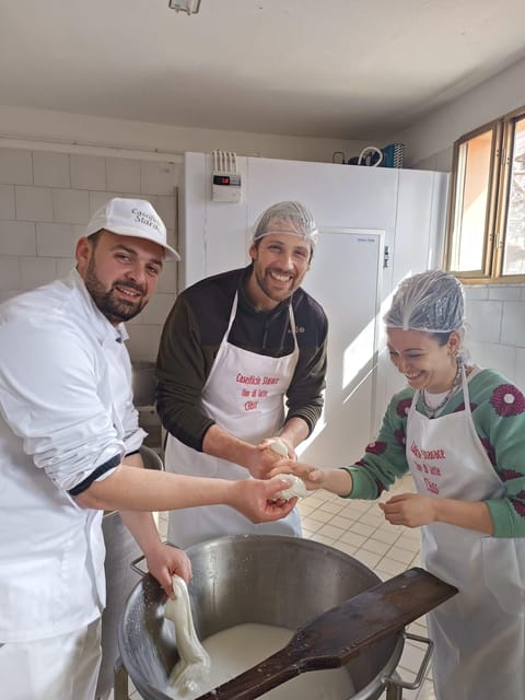 Sorrento Coast Mozzarella Tasting & Cheese Making Experience - The dairy tour and working spaces