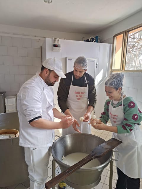 Sorrento Coast Mozzarella Tasting & Cheese Making Experience - Cheese, wine, and the final tasting