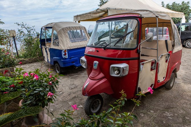 Sorrento Farm by Tuk Tuk: Cheese, Limoncello & Hands-On Pizza - Dessert, coffee, and the family limoncello
