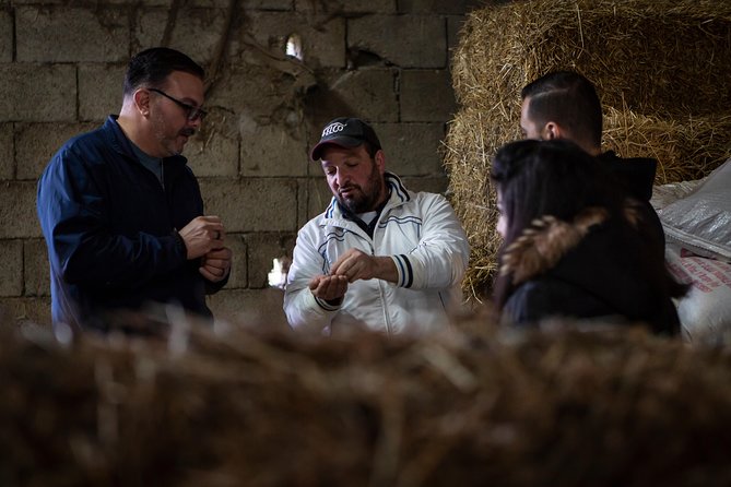 Sorrento Farm by Tuk Tuk: Cheese, Limoncello & Hands-On Pizza - Who will enjoy this most