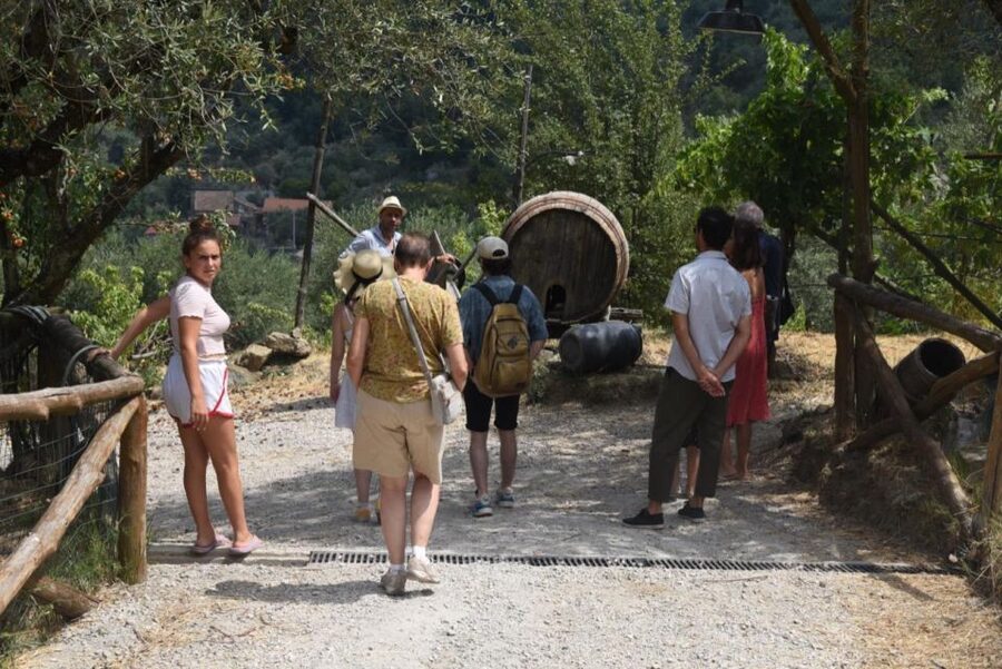 Sorrento Farm Experience: Pizza, Cheese, Wine & More - What this Sorrento farm outing is really like
