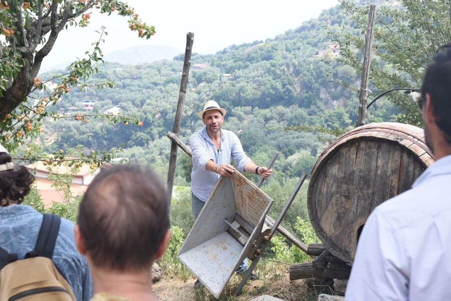 Sorrento: Farm Tour with Cheese Tasting & Pizza Making Class - Key Details Before You Book