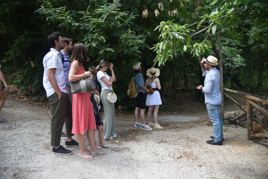 Sorrento: Farm Tour with Cheese Tasting & Pizza Making Class - A Full Farmhouse Lunch, Not Just a Snack