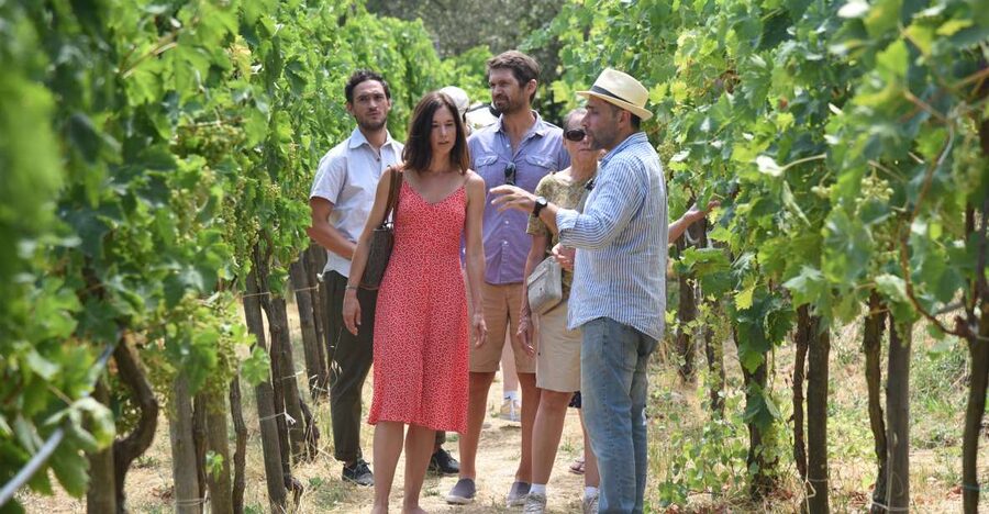 Sorrento: Farm Tour with Cheese Tasting & Pizza Making Class - Walking Through the Hillside Farm