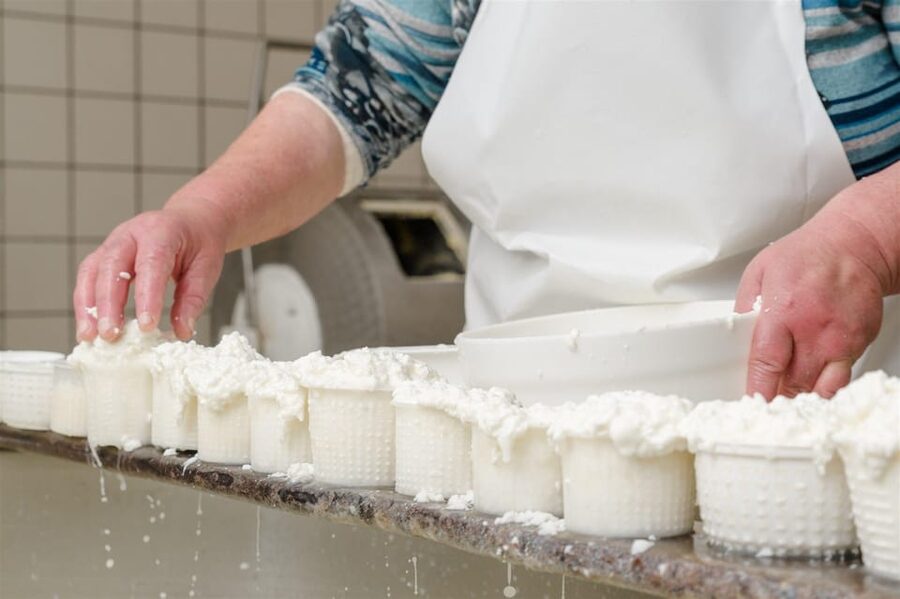 Sorrento: mozzarella cheese workshop in Vico Equense - Why this workshop works better than a standard tasting